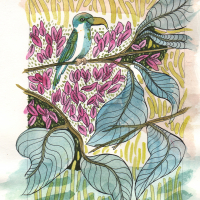 tropical bird watercolor drawing.jpg